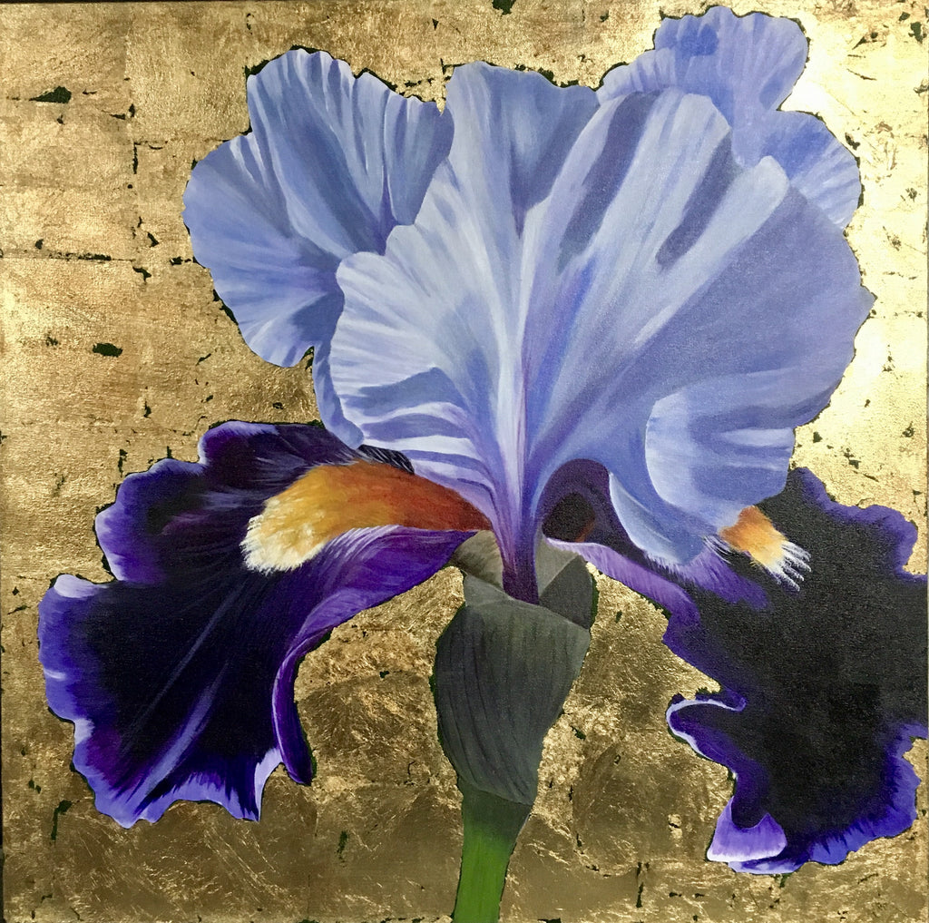 Iris