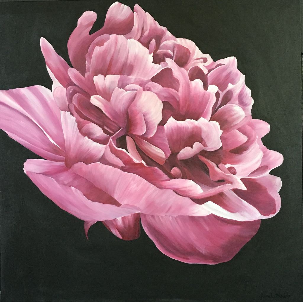 Merry’s Peony