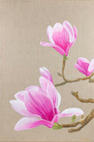 Spring Bloom